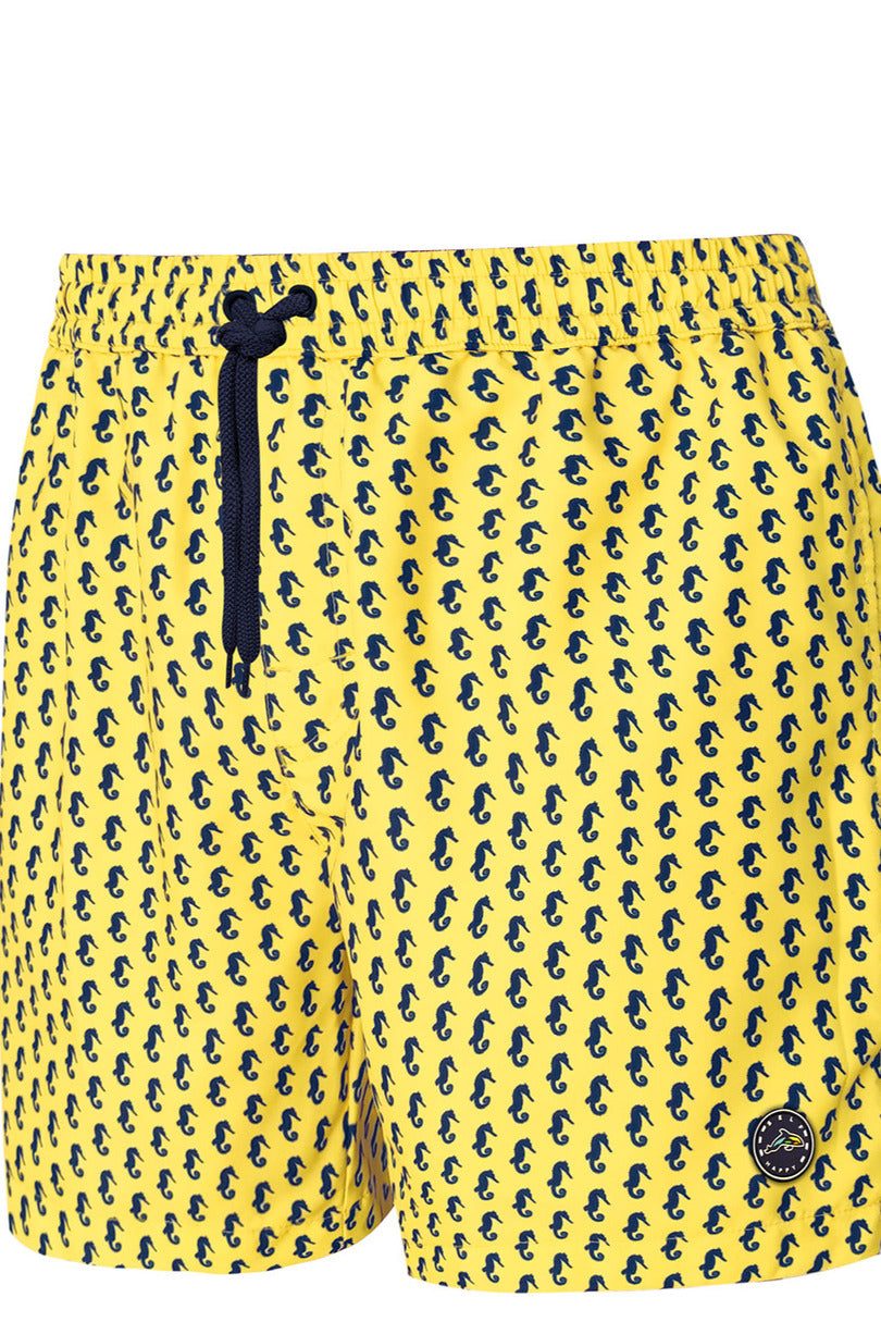 SZORTY KĄPIELOWE MĘSKIE HAPPY SHORTS - SM29 LONG