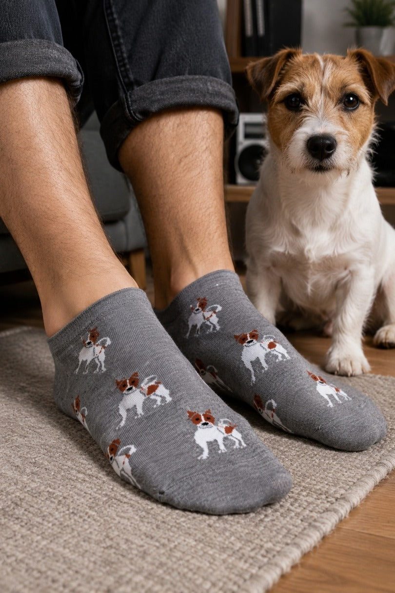 Stopki męskie Jack Russell Terrier 1108.057